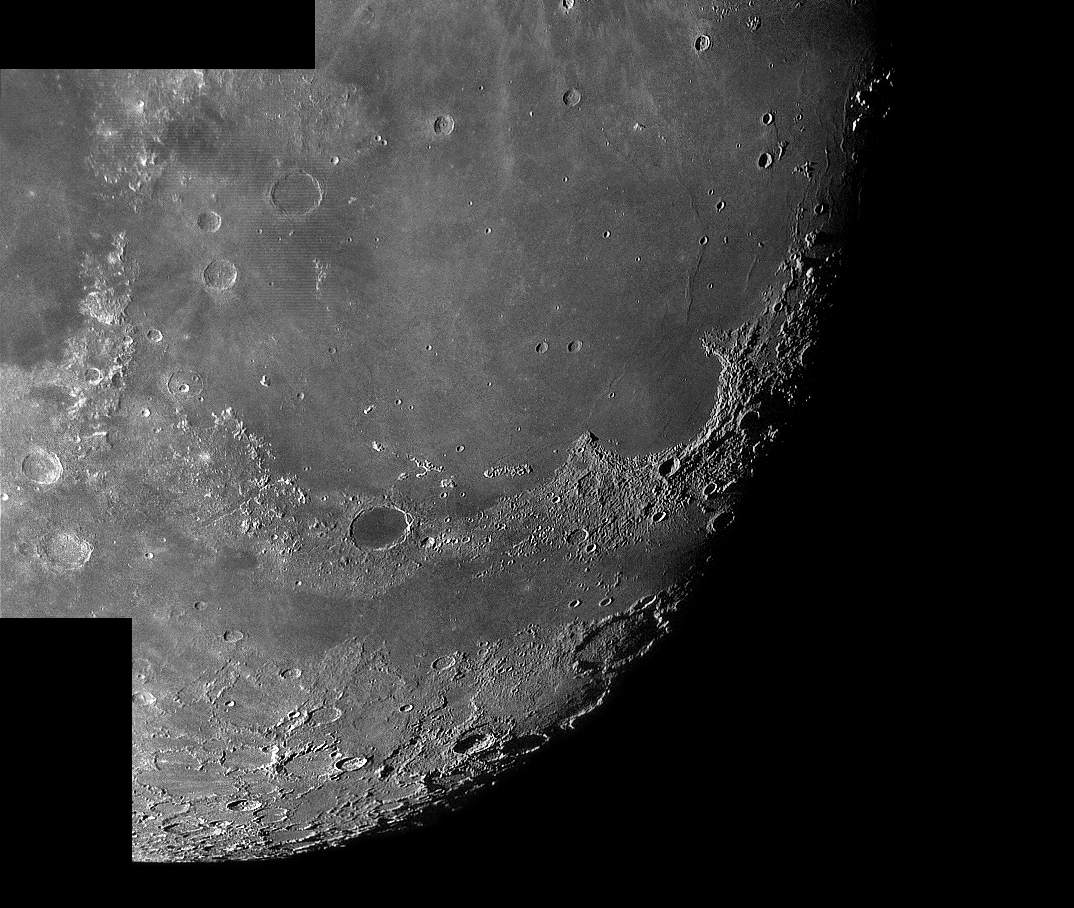 Iris_Plato-4H.jpg