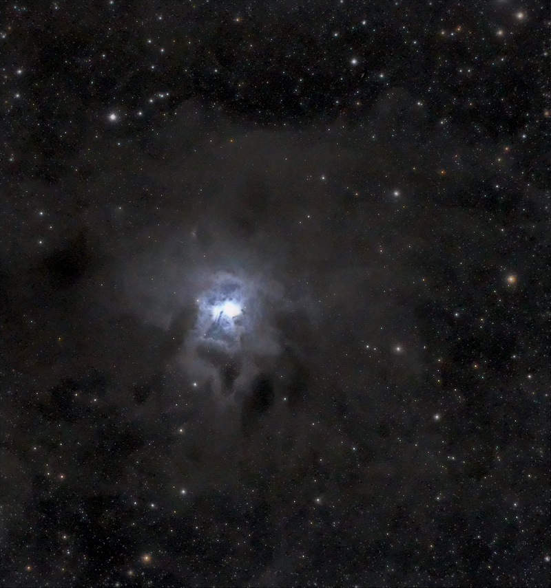 NGC7023_PS_1_neb_laplas1.jpg