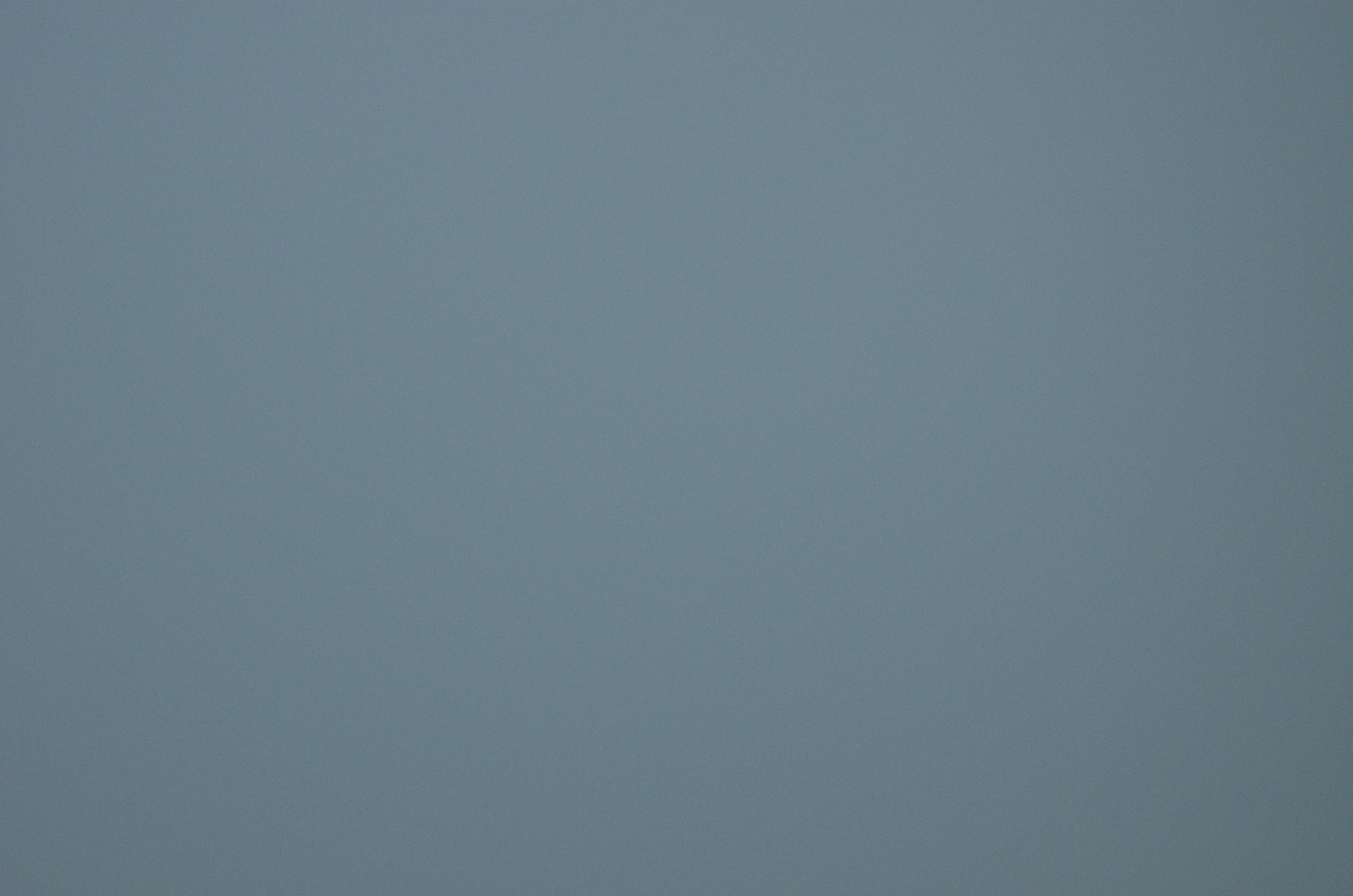 DSC_0361.JPG