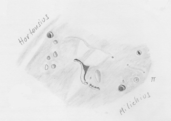 L65_Hortensius domes.jpg