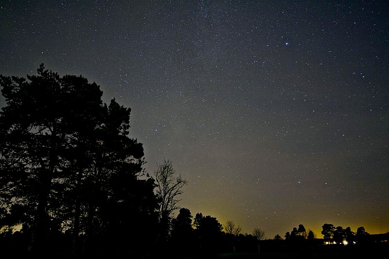 IMG_3478_3 small.jpg