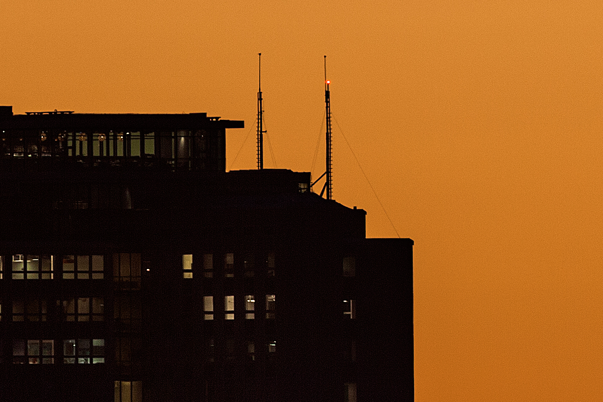 _MG_8593 crop.jpg