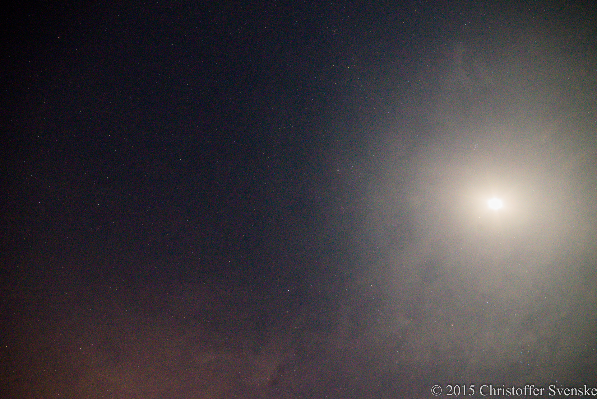 DSC_1694.jpg