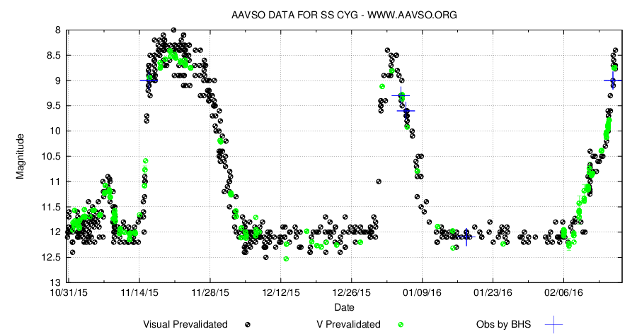 SS Cyg. AAVSO. Visuell kurva.