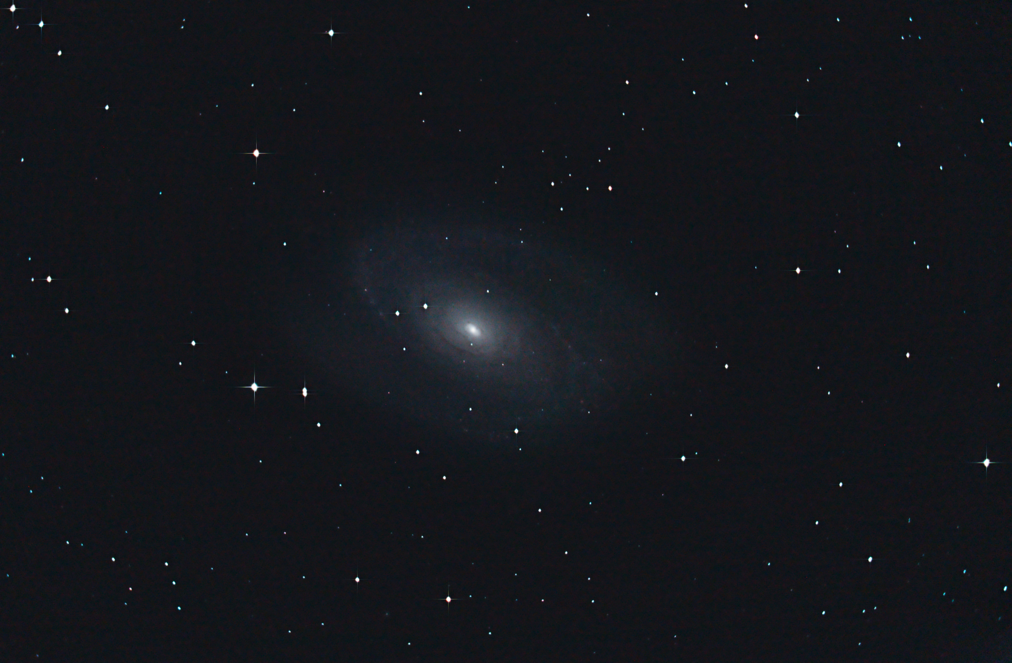 m81.jpg