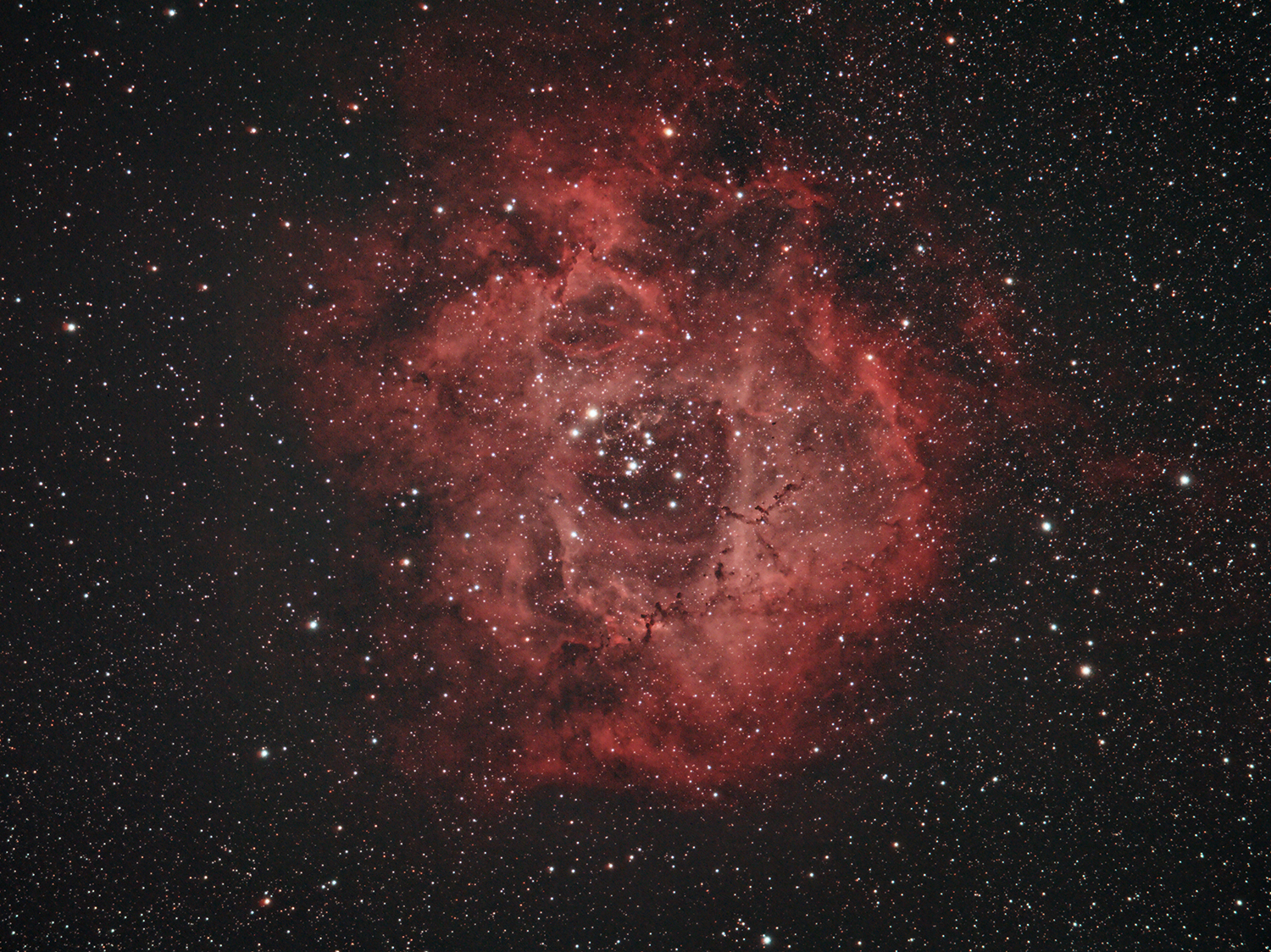 rosettaikaharos4och6minclsiso3200.jpg