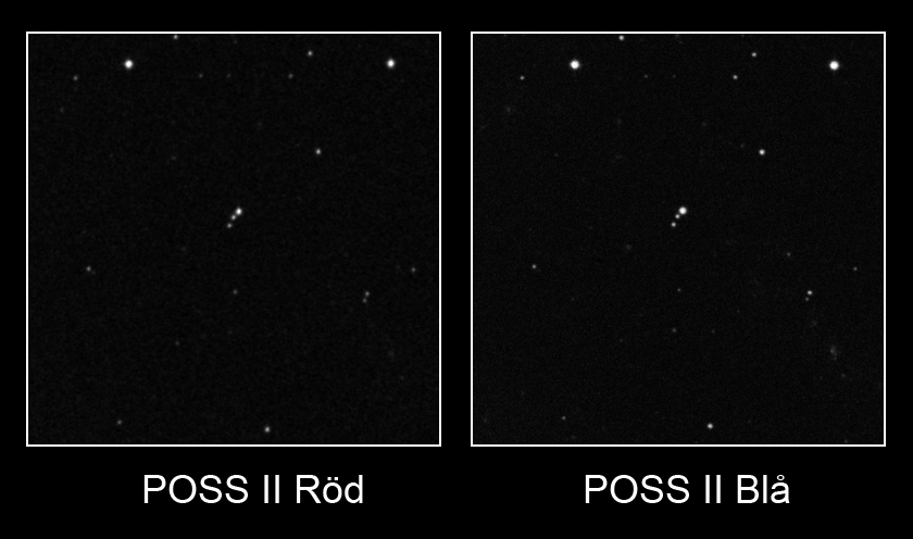POSII red blue.jpg