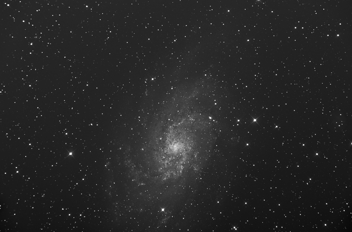 M33