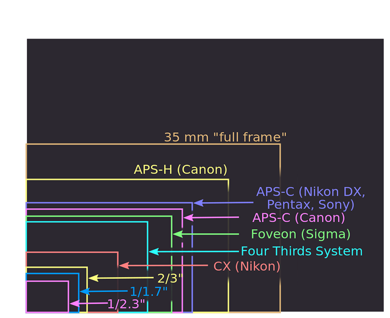 Sensor-Sizes-and-Crop-Factors.png