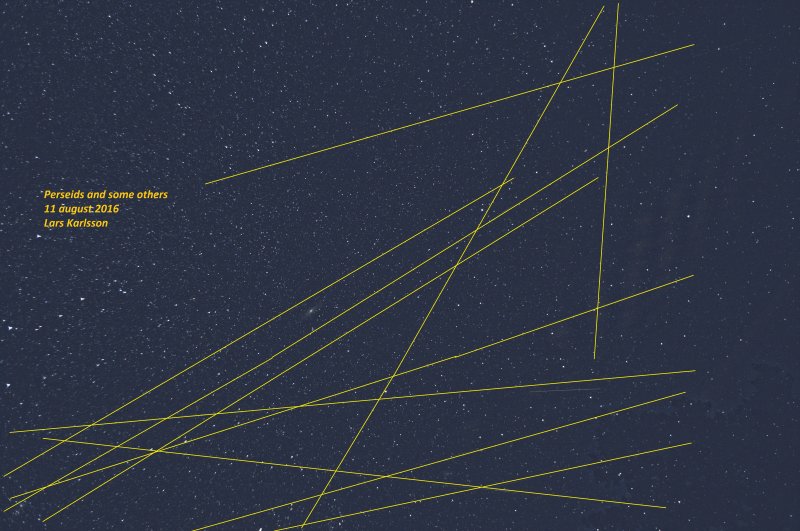Perseid 20160811 14 max_3 small.jpg