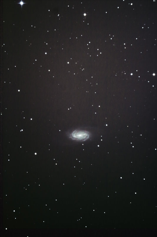 ngc2903-3.jpg