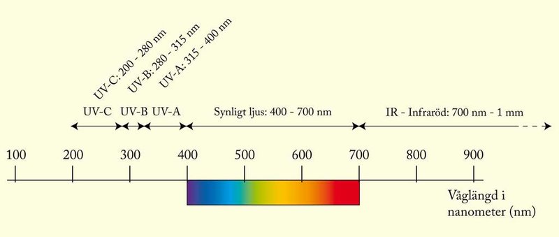 s151-Spektra-UV-IR.jpg