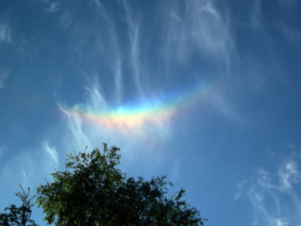 DSCN0948.JPG