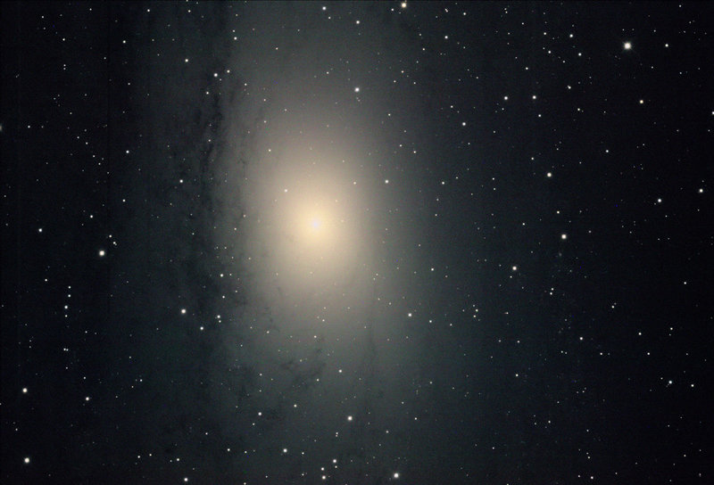 M31starfish.jpg