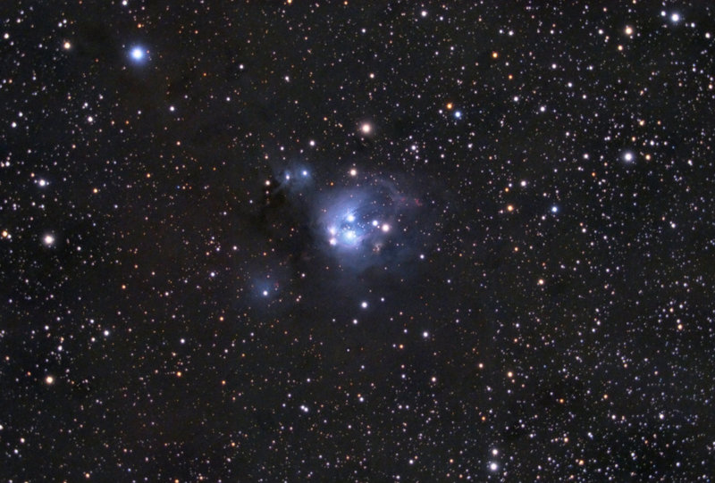 NGC7129-crop.jpg