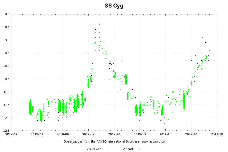 Cyg-SS.png