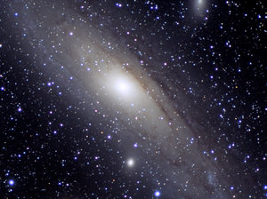 f41vs m31